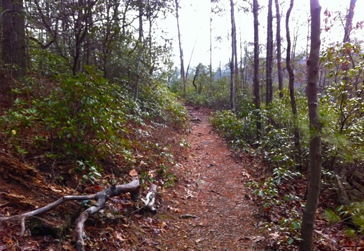 Cliff Trail, National Recreation Trail - 1